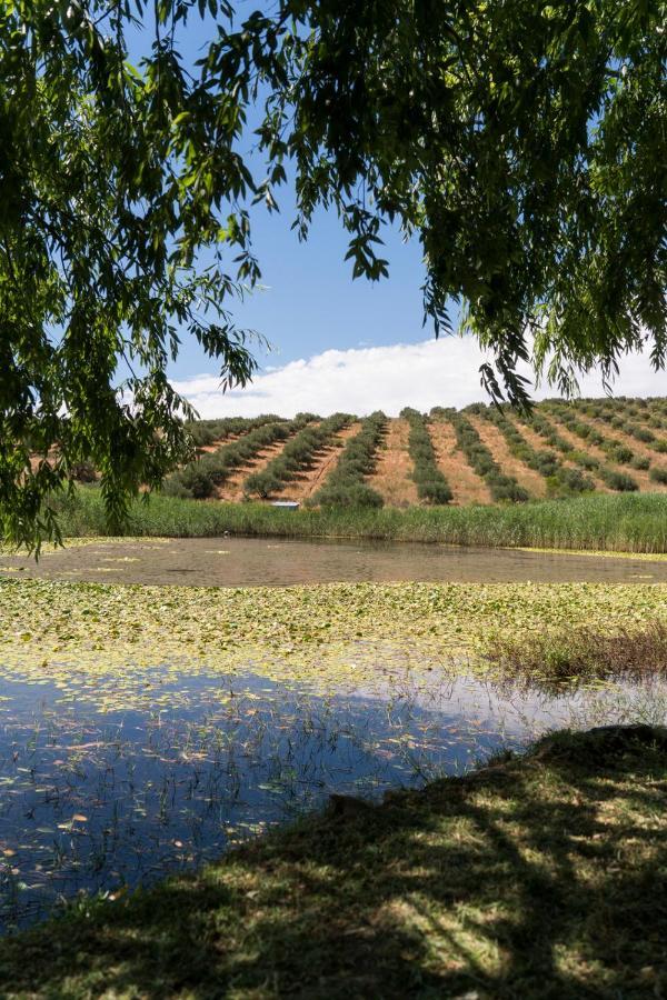 Kleinkloof Farm Villa Piketberg Buitenkant foto